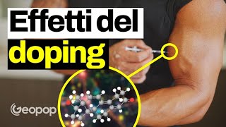 Cosa c'entrano i testicoli dei porcellini d'india con il doping? Gli effetti degli steroidi