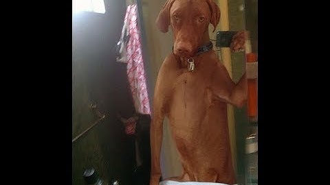 LED Spinners - New Bluetooth Enabled LED Fidget Spinner