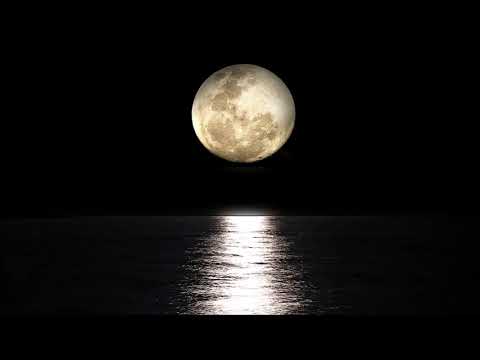 Video: Vollmond im August 2020