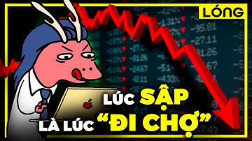 Làm thế nào để không mất tiền ngu lúc thị trường sập?