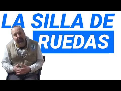 Adaptación del perro a la silla de ruedas 👨🦽