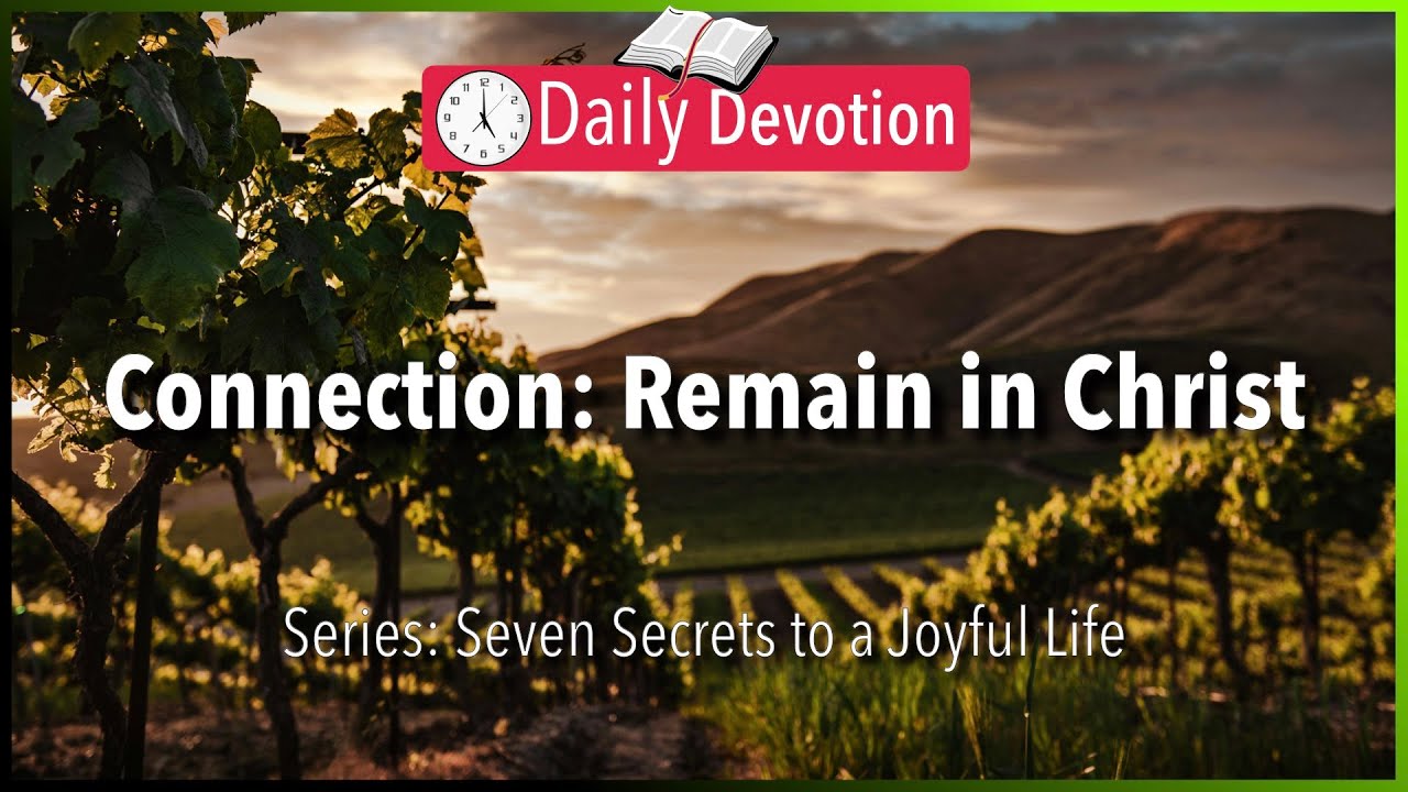 October 16: John 15:11 - Connection: Remain in Christ - 365 Daily Devotions