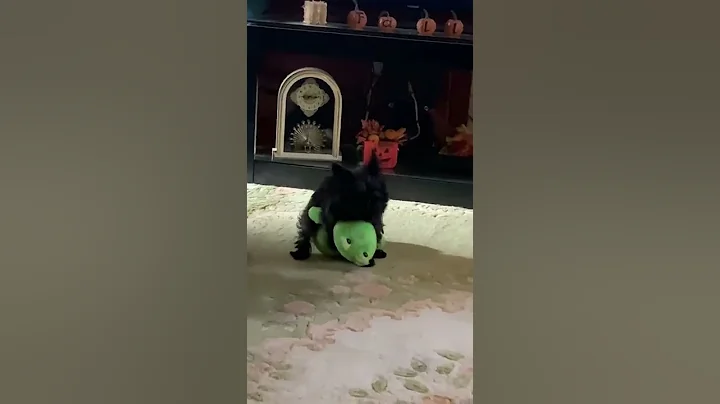 She loves her frog
