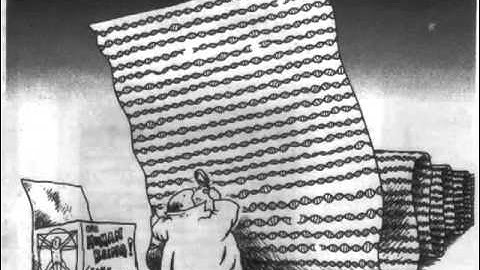 Next Generation Sequencing (2 of 2) - What Part of the DNA to Sequence