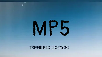 TRIPPIE RED - MP5 ( LYRICS ) , SOFAYGO