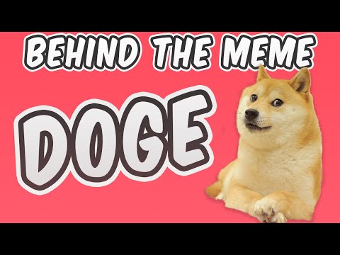 behind-the-meme:-doge-[meme-explained]