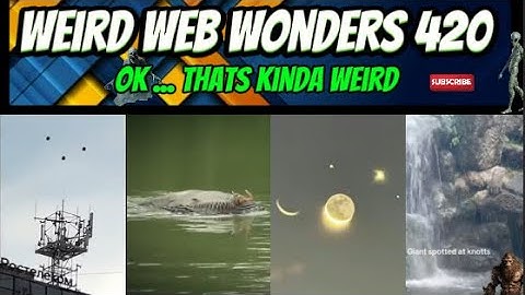 weird web wonders 420