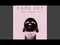 Miniature de la vidéo de la chanson Dark Sky (Dillon And Dickens Mix)