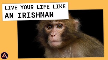 Monkey brains play Jackbox