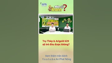 APN - Trụ Thép & Arigold 620 xịt lúa trổ đều được không? #shorts #kỹ_thuật_canh_tác_lúa
