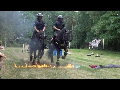 Video: Jízdní Policista Přestane Hrát Hru KONĚ