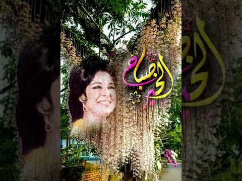 نجاة الصغيره استناني استناني