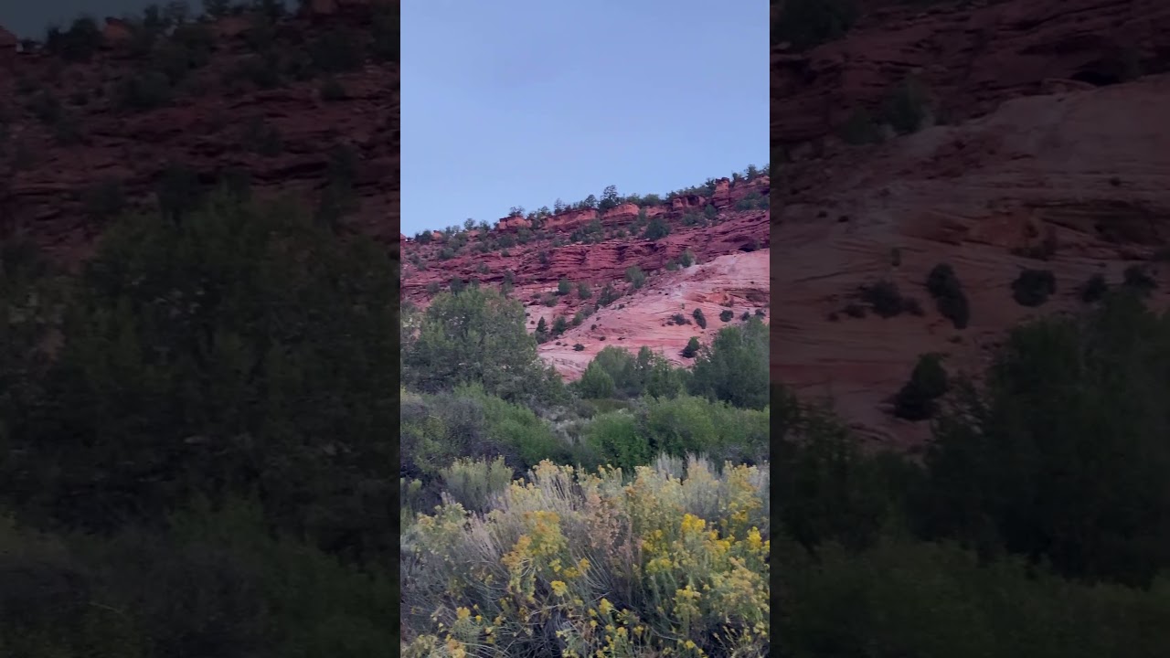 Did You Know These Cliffs Hide Secrets? #shorts