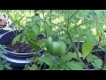 Middle of video