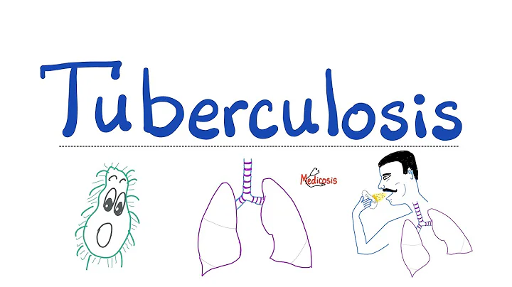 Tuberculosis (TB) - The Most Comprehensive Explanation - Respiratory Pathology - Pulmonology Series