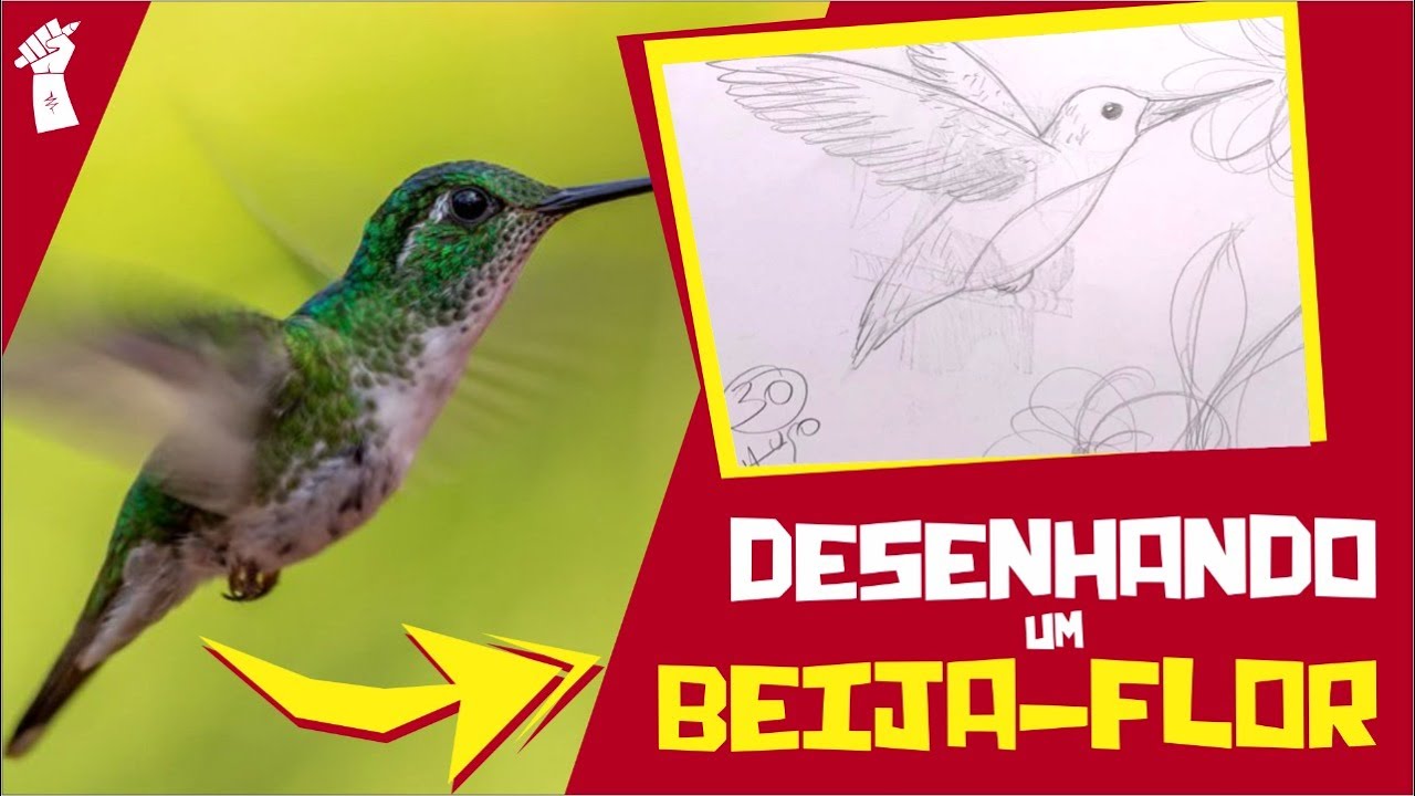 COMO DESENHAR UM BEIJA-FLOR - RÁPIDO E FÁCIL - YouTube