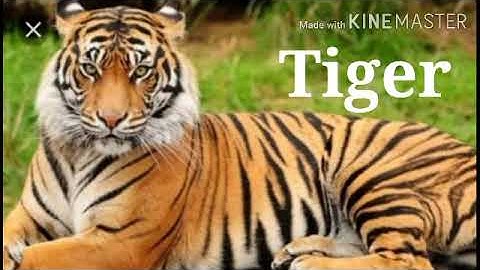 MLZS JHANSI CLASS 5 General Knowledge Save them