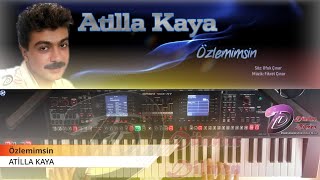 #AtillaKaya #Özlemimsin #Org #Korg #Roland Özlemimsin (Roland E-A7) Resimi