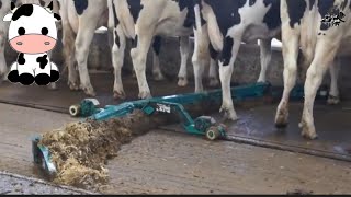 تكنولوجيا تربية الأبقار الأوتوماتيكية الحديثة والمذهلة - مزارع الأبقار الهولندي سوف تندهش من التقنية