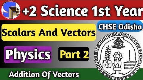 Scalar And Vector Quantities Physics | Vectors Physics Class 11th | +2 Science First Year Part2