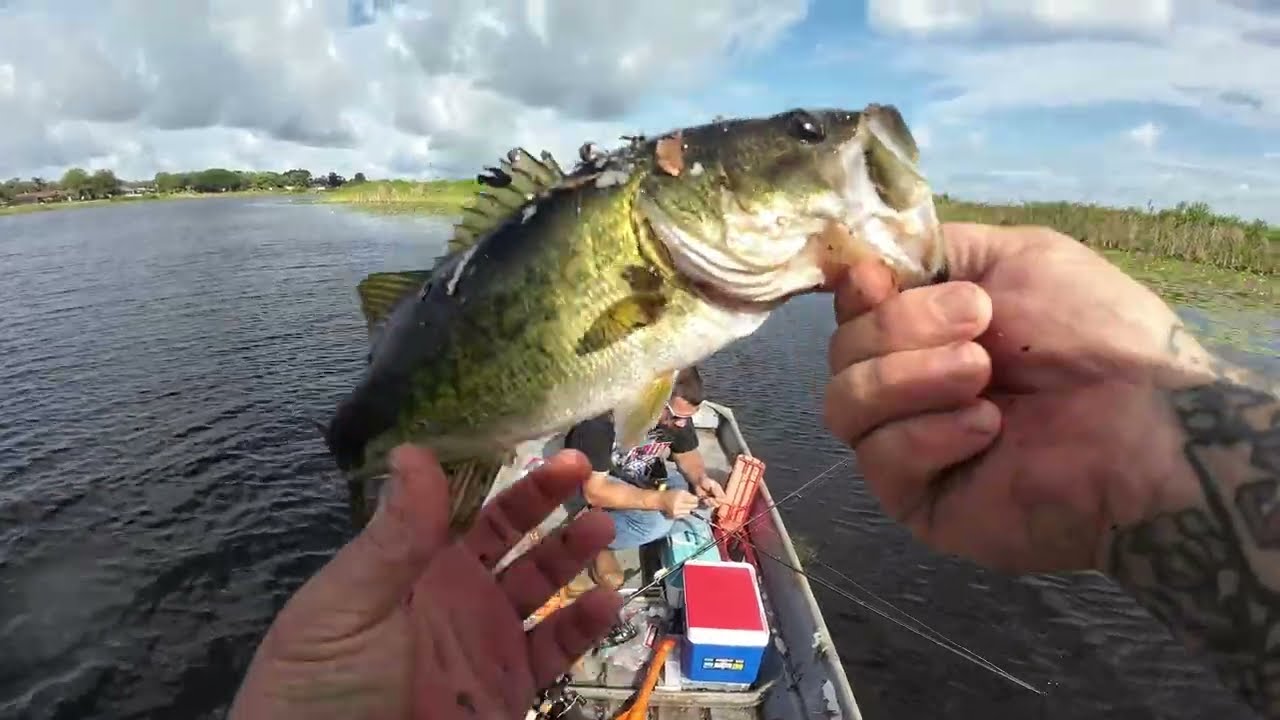 fishing for big bass in forgotten lake