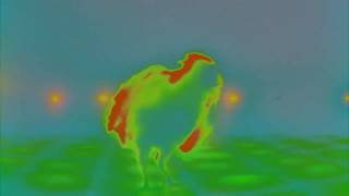Earrape Central: Chicken Song