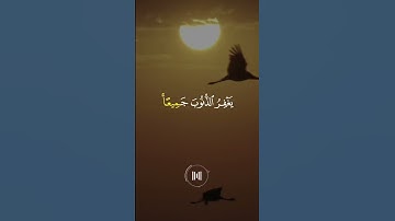 سورة الزمر - ياسر الدوسري تلاوة خاشعة
