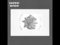 Polyfusion - Seefeel (Quique)