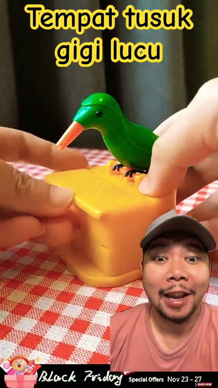 TEMPAT TUSUK GIGI BURUNG LUCU!!!?? #funny #satisfying #birds #memes #gadget