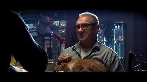 CRUCIAL LIFE ADVICE (enemy of the state) Guerrilla warfare exposed