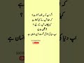 Kya Pakaoon? | Khushnaseeb Hone Ki Nishani #quotes #4line #poetry