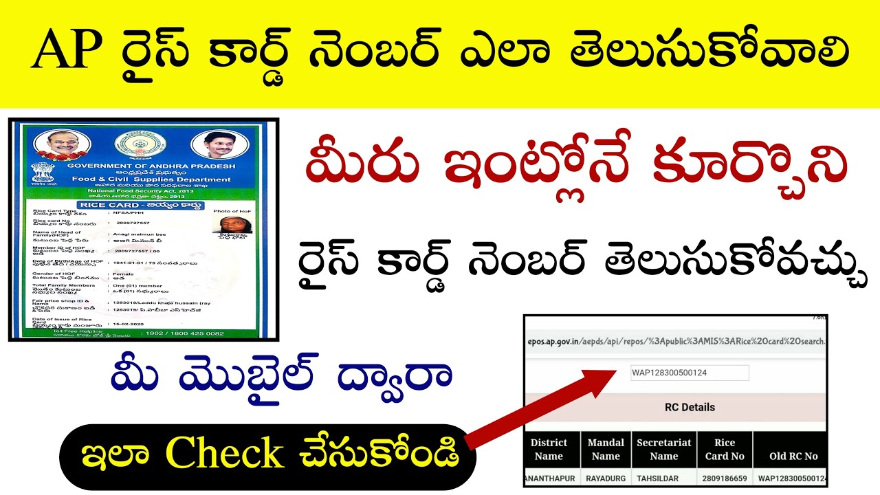 Ap Rice Card Serial Number How to check Rice card number || How to check old ration card and new ...