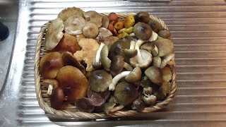 ７種の天然きのこできのこ汁