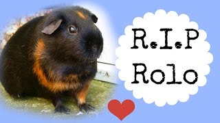 Rest In Peace Rolo