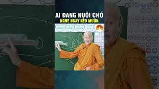 AI ĐANG NUÔI CHÓ NGHE NGAY KẺO MUỘN #giangphap #sucotamtam#tinhxaphaphue #chómèodễthương