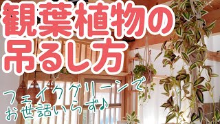 メモスタンド(赤りんご)▫️フェイクグリーン・フェイク多肉植物 アレンジ mqdefault.jpg