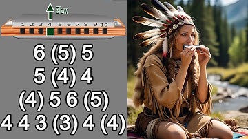 SHENADOAH HARMONICA DIATONIC C, ANIMATED TUTORIAL, BLUES HARP C, GAITA DE BOCA C, MUNDHARMONIKA C