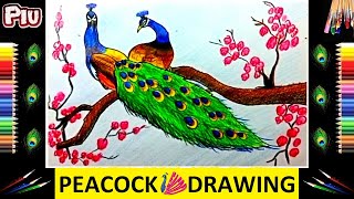 How to Draw a Stunning Peacock Using Pencil Color - Step by Step | मोर चित्र | Easy Peacock Drawing