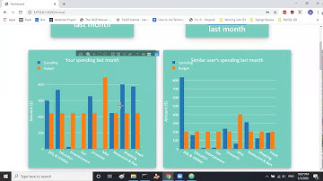 University of Illinois at Urbana-Champaign - CS411- Spring 2020- Project Demo