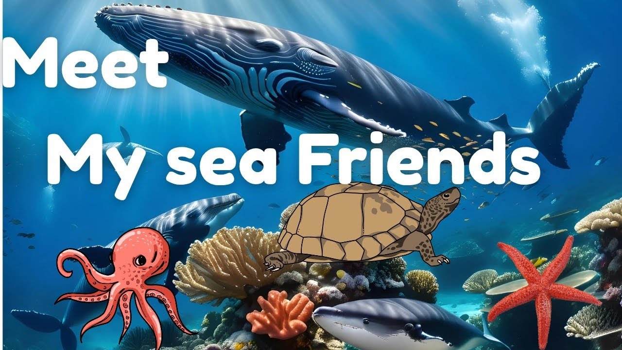Meet My Sea Friends  | Sea Animals for Kids | Ocean Animals Learning Video