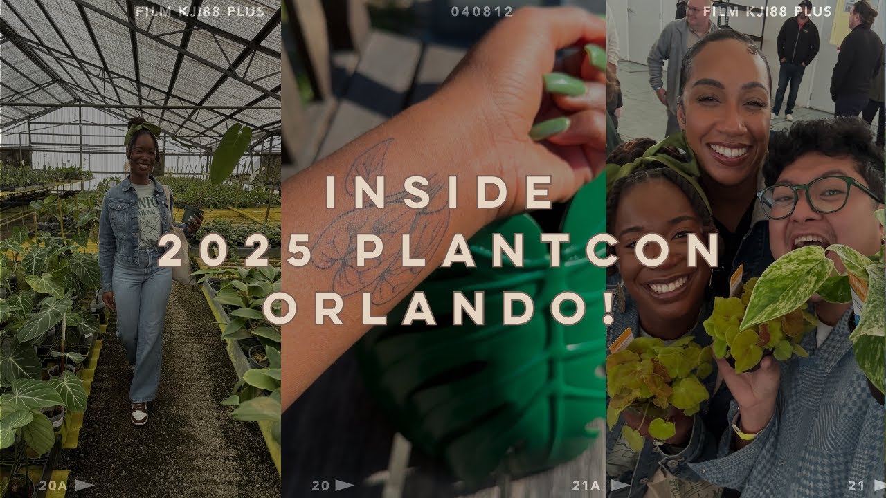 PlantCon Orlando 2025 | Экскурсии по теплицам, покупка растений и татуировки растений