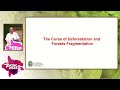 German Poveda- Climate and Environmental Crisis: How to Get Out of the Crossroad?