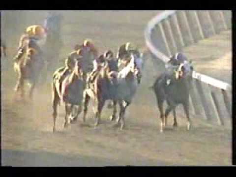 1994 Jockey Club Gold Cup - Colonial Affair
