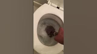 How to Unblock a Toilet with a Bunnings Plunger Clogged Toilet Unblocking using a plunger blocked