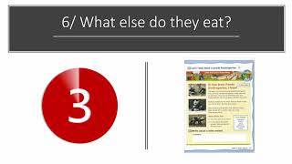 Lets Go 5 Unit 2 Comparing Animals P21 가자 5