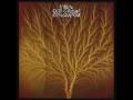 Van Der Graaf Generator - Still Life