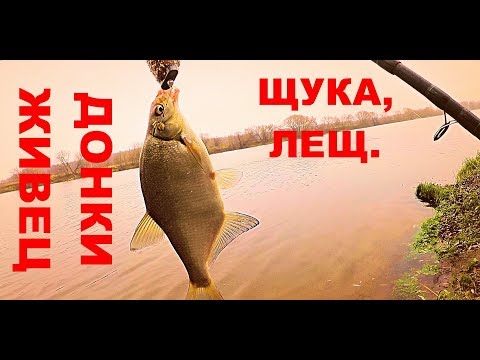 Двое Суток На Реке. Щуки На Живца. Лещ На Донки. Мой Новый Друг Чан.