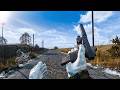 Surviving a DayZ Server Like None Other...