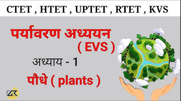 पर्यावरण अध्ययन ( EVS ) अध्याय - 1 पौधे ( Plants ) for CTET,UPTET,HTET,RTET ,KVS