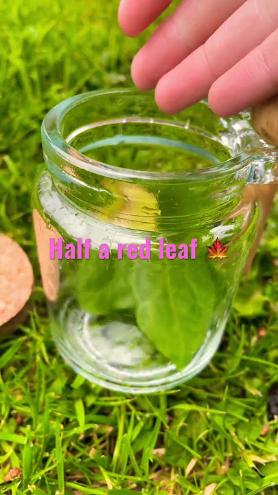 How to make a poison potion!! #subscribe #viral #elf #fly #fypシ #fairy #magic #potion